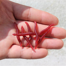 Load image into Gallery viewer, Soft Lure Fishing Simulation Earthworm red Worms Artificial 50pcs/lot